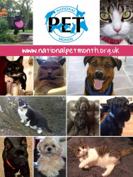 Frank...